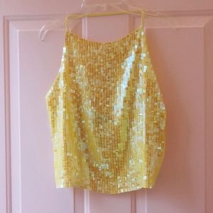 DKNY Silk Sequin Apron Crop Top